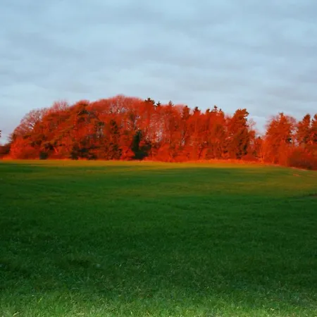 Naturnah, Mit Terrasse, Garten Und Meerblick - Auf Dem Teschenberg *